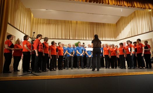 Der Honterus-Chor unter der Leitung von Regine Melzer. Foto: Klaus Hihn