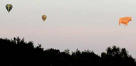 Bulle über Drabenderhöhe