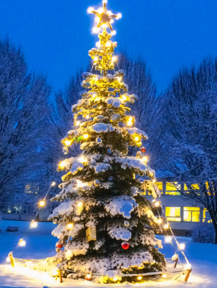 Weihnachtsbaum am Turm der Erinnerung