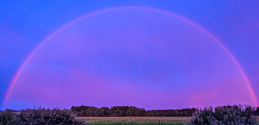 Regenbogen am 7. August um 21:05 Uhr, fotografiert mit einem Pixel 5 Smartphone. Foto: Günther Melzer. Für Großansicht draufklicken.