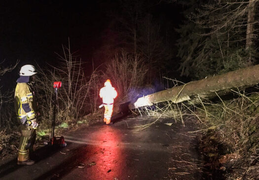 Auch dieser umgekippte Baum an der Motocross-Strecke zwischen Jennecken und Bielstein musste von der Straße entfernt werden