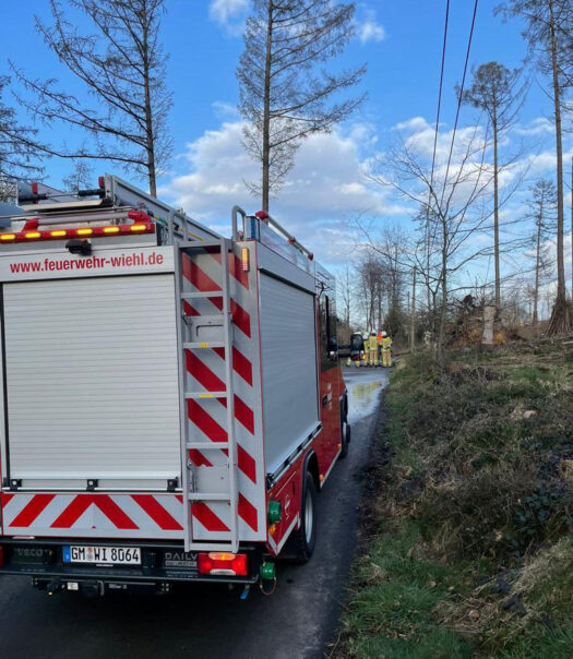 Zwischen Drabenderhöhe und Büddelhagen durchtrennte ein Baum die Telefonleitung. Fotos: Christian Melzer